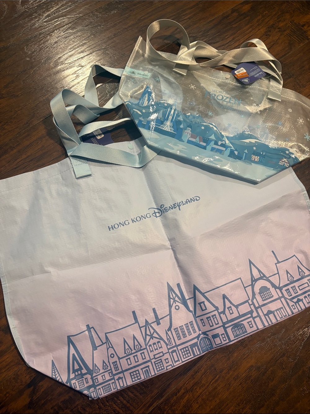 Disneyland Hong Kong Exclusive FROZEN Set of 2 reusable bags (1 small, 1 large)
